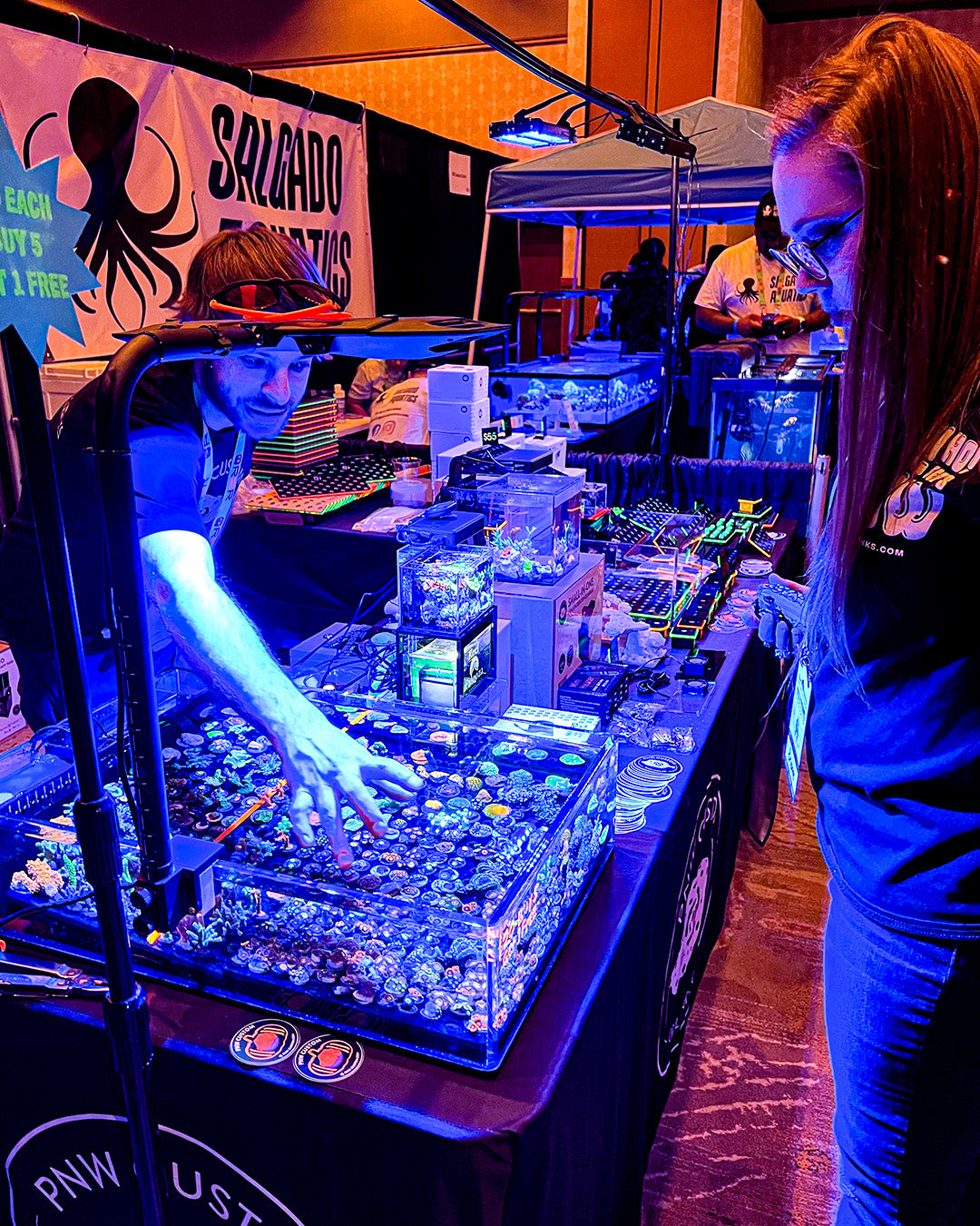 Selling Coral Frags for Saltwater Aquariums at the Reefapalooza show
