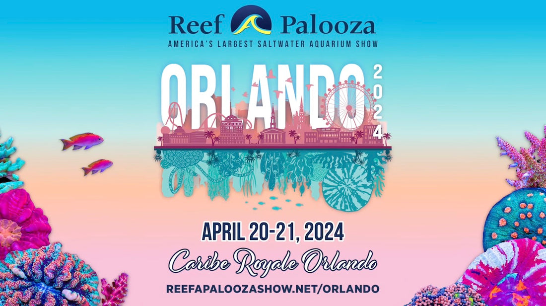 Reefapalooza Orlando 2024 - Celebrating our 10th year!