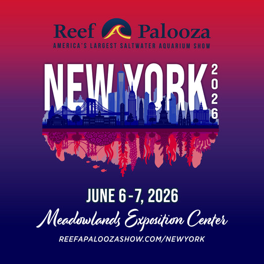 New York 2026 Deposit